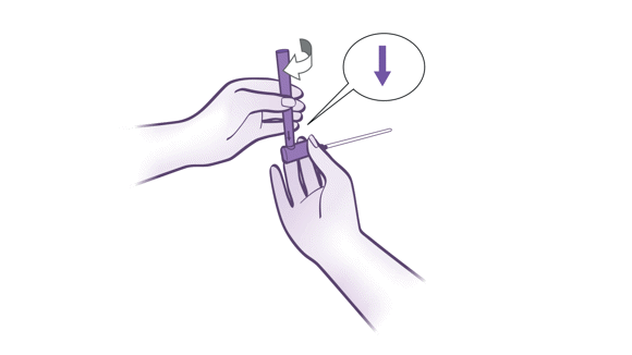 Connect the case to the catheter